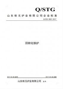 Q/STG企業(yè)標準